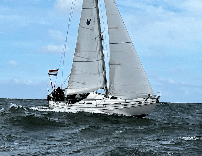 2022-jubileumtocht